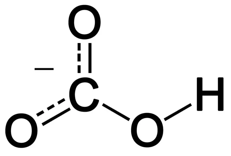 Acido carbonico e bicarbonato - Confronto affiancato