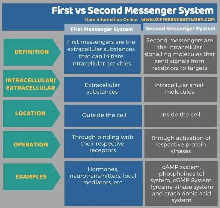 Skirtumas tarp pirmosios ir antrosios „Messenger“sistemos lentelės pavidalu