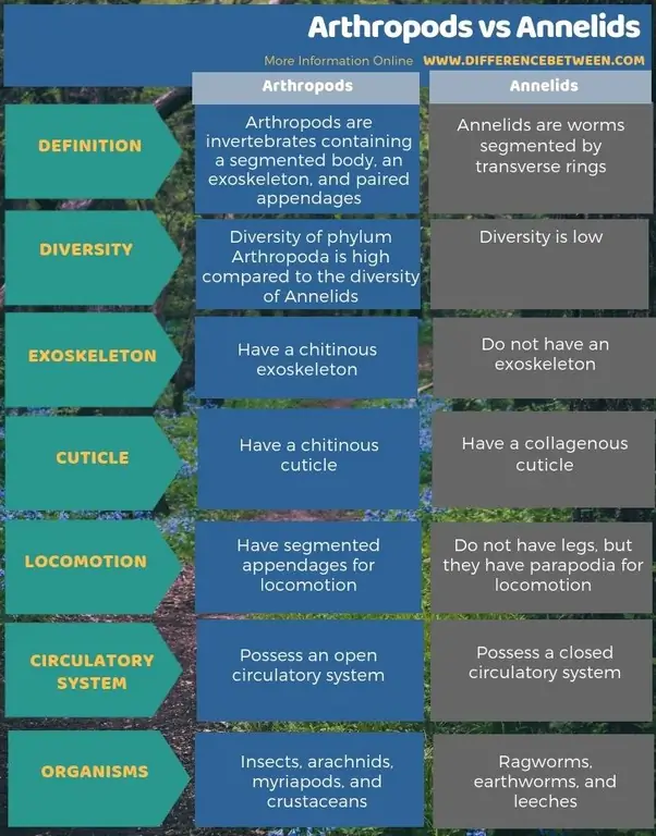 Perbezaan Antara Arthropoda dan Annelids - Bentuk Tabular