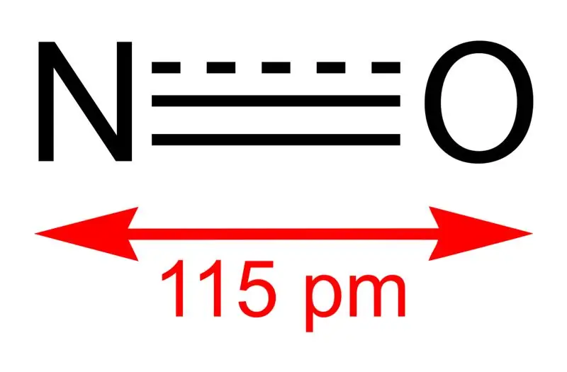 Belangrijkste verschil - Stikstofmonoxide versus distikstofpentoxide