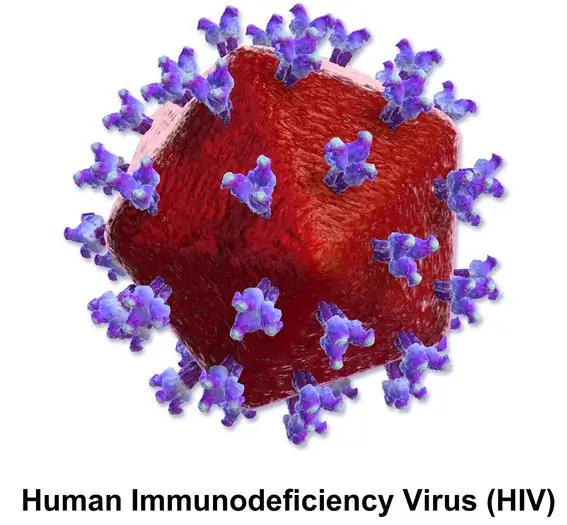 Nøgleforskel - Plantevirus vs Animal Virus