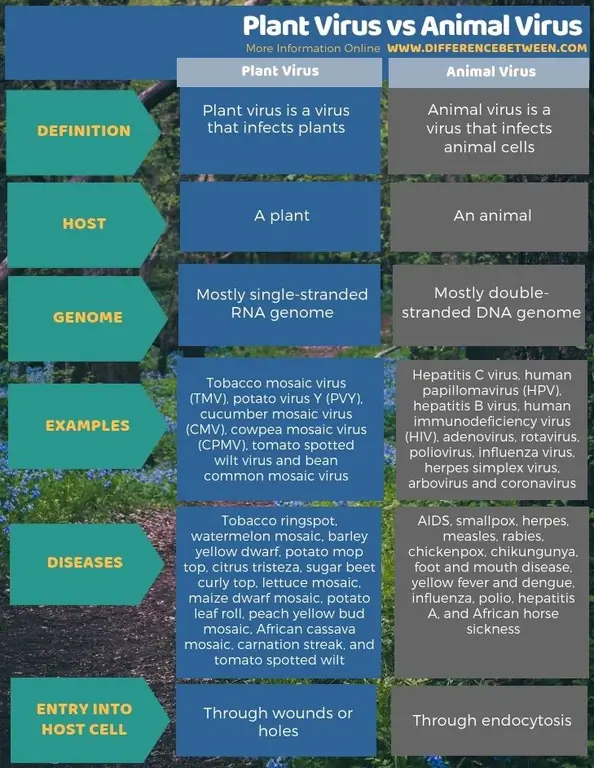 Verschil tussen plantenvirus en dierlijk virus - tabelvorm