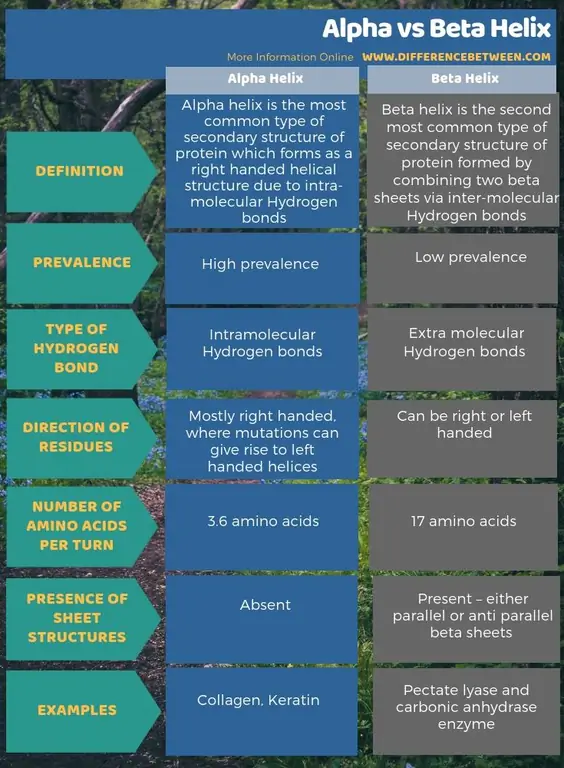 Forskellen mellem Alpha og Beta Helix i tabelform