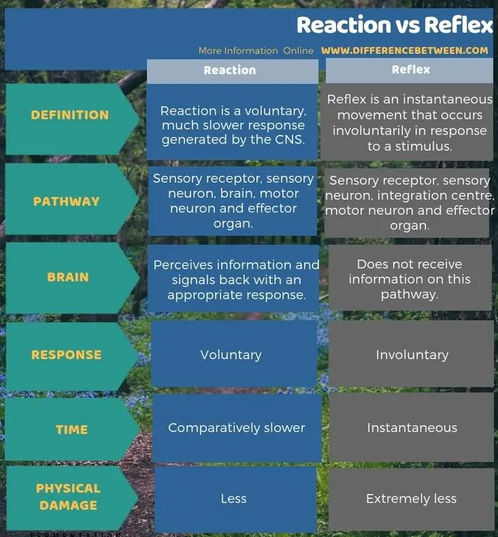 Différence entre réaction et réflexe sous forme tabulaire