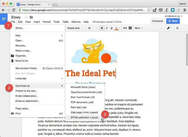 Verskil tussen Google Docs en Google Drive